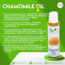 Avila Chamomile Oil  