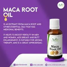 Avila Maca Root Oil