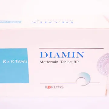 Diamin (Metformin)