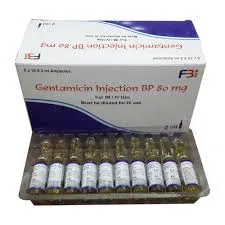 GENTALEK INJECTION 80MG x10(TRAY)