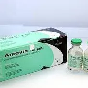 AMOVIN 1.2G INJECTION X VIAL