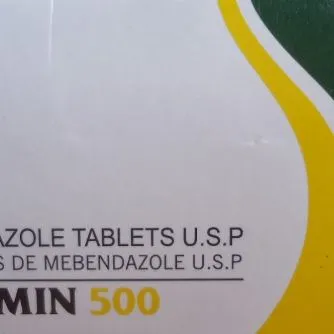 Wormin 500 (1 Tablet) | Mebendazole